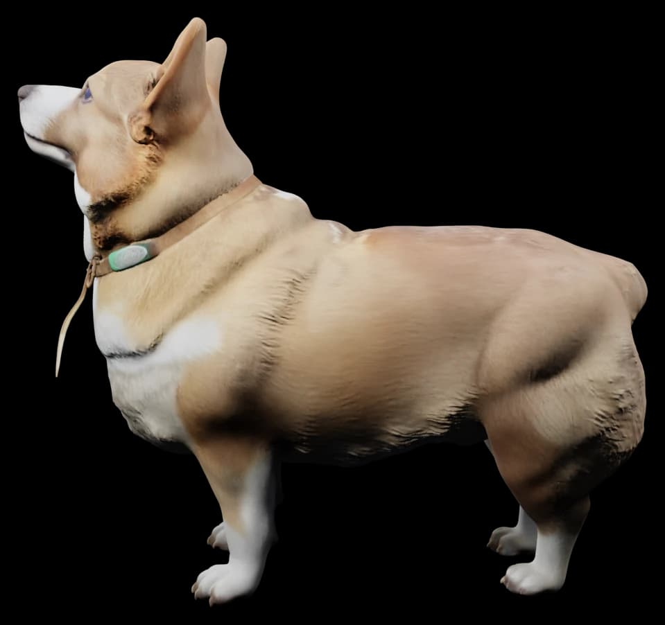 Molly, a Pembroke Welsh Corgi, scanned in 3D and wearing the light-up ruff